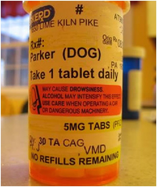 Dog Operating Car Label-Stupidest Warning Labels