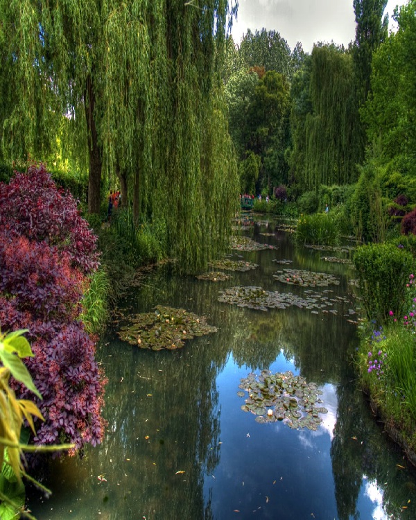 Claude Monet-Amazing Gardens