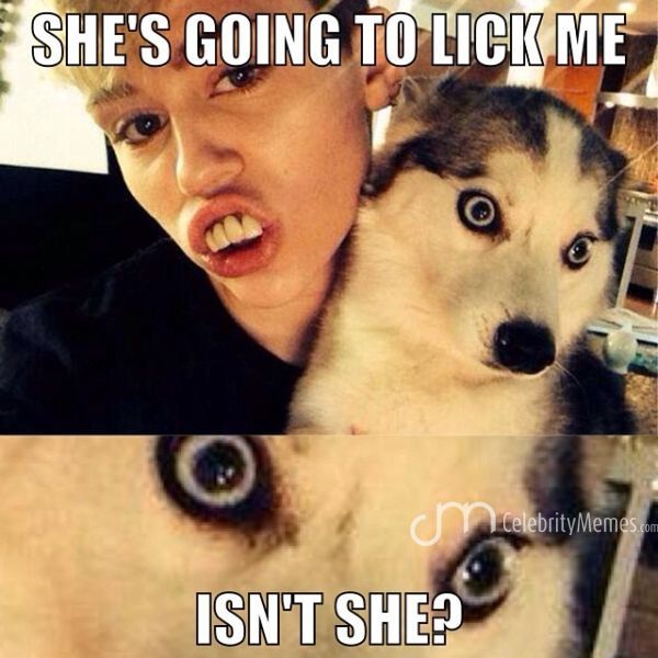 Poor Pooch-12 Best Miley Cyrus Memes That Will Make You Feel Bad For Laughing