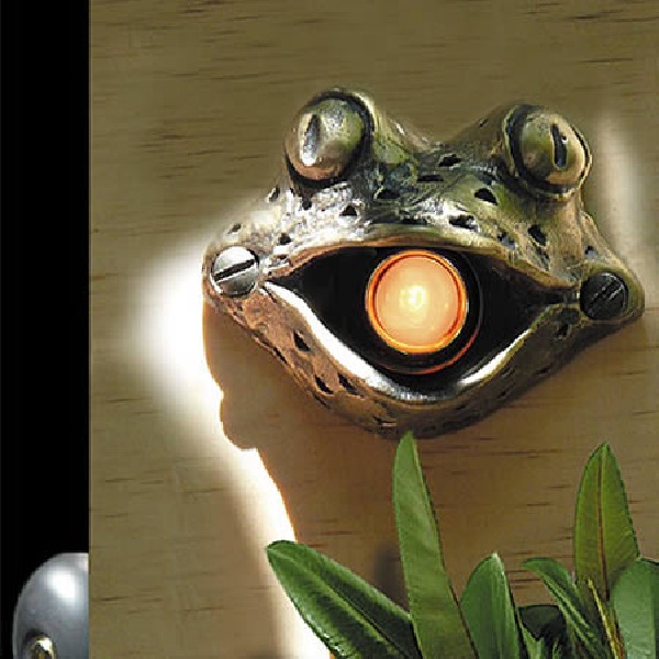 Press The Frog-Most Creative Door Bells