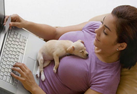 Cozy Puppy-Pics Of Pets Being Cozy With Female Breasts
