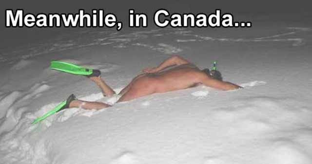 A slow swimmer-12 Best Meanwhile In Canada Memes Ever