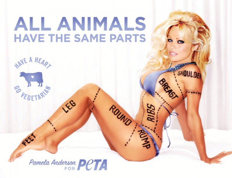 Pamela Anderson - All Animals Have the Same Parts-15 Celebrities Who Have Stripped For Charity