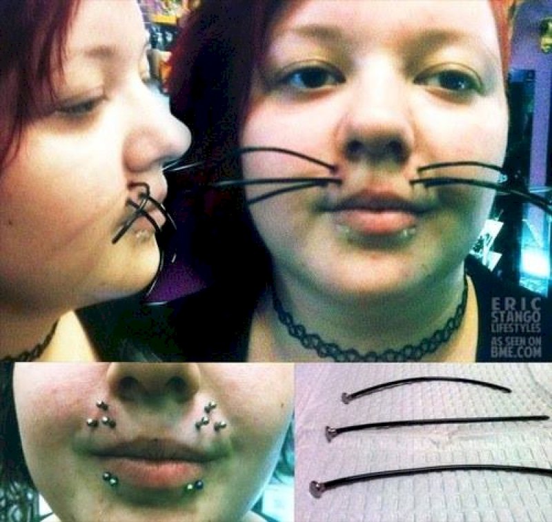This Cat Girl and Her Artificial Whiskers-15 Images That Will Make You Say WTF!
