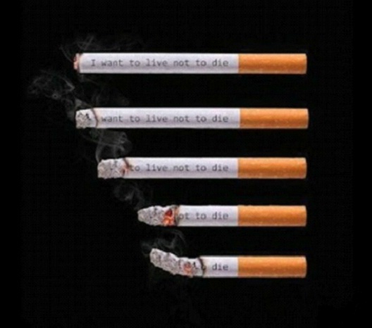 I want To Live Not die-24 Most Creative Anti-Smoking Ads