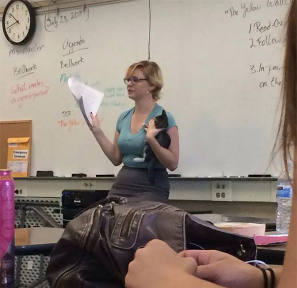 Teacher Who Brought an Abandoned Cat to Class Along with Her-15 Awesome Teachers Everyone Would Like To Have