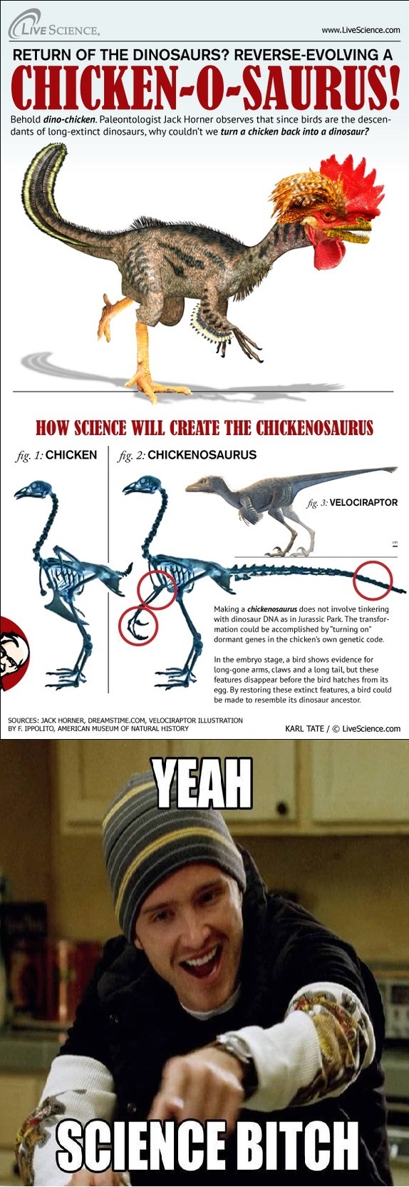 They Will Do What?-24 Best "Yeah Science Bitch" Memes Ever Made