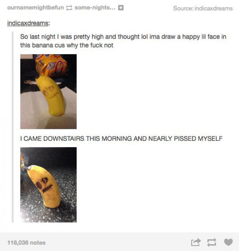 This Dead Banana-15 Images That Will Make You Laugh Hysterically