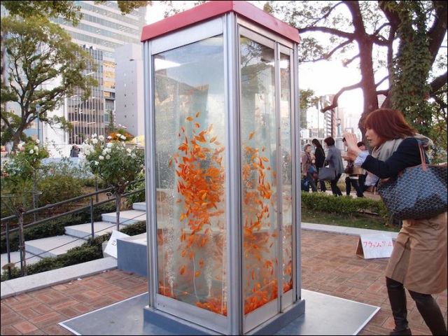 Goldfish-Weirdest Public Phone Booths