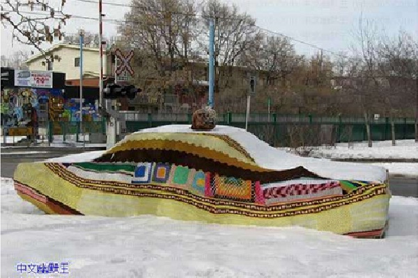 Winter Hat Car Cover-Creative Car Covers