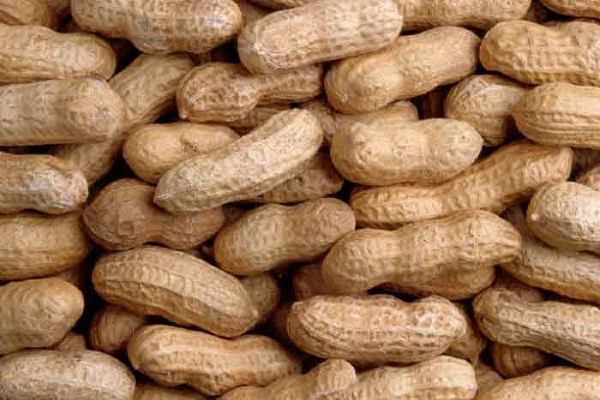 Peanuts-Most Dangerous Foods