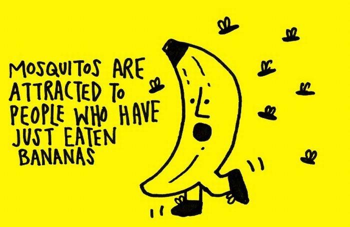 Why bananas?-24 Interesting Yet Mind Blowing Facts