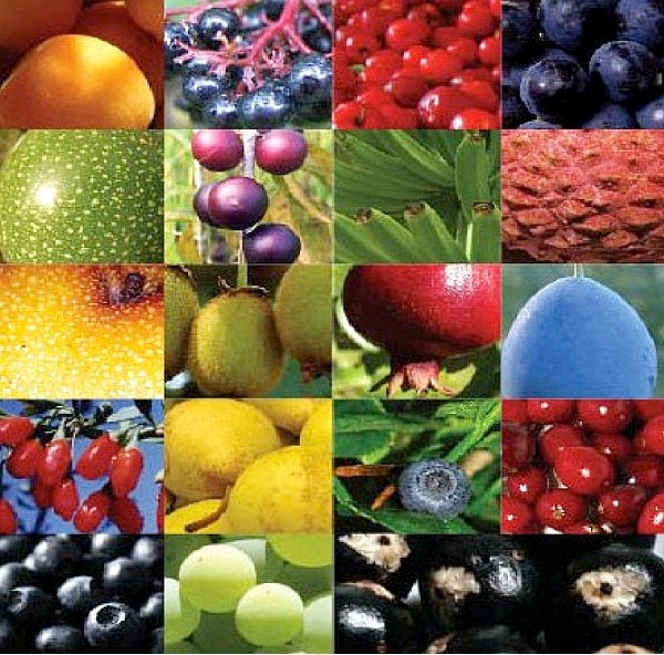 Antioxidants-Simple Ways To Slow Down Aging