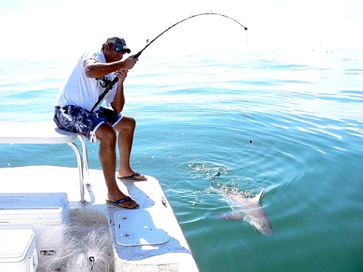 Fishing-Sports Which Are Boring To Play