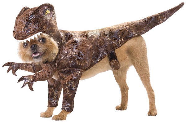 Dog costume-Amazing Things To Buy On Amazon