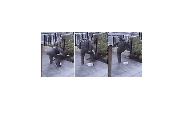 Shocking Picture of a Thug Hitting His Pet-Shocking Moments Caught On Camera
