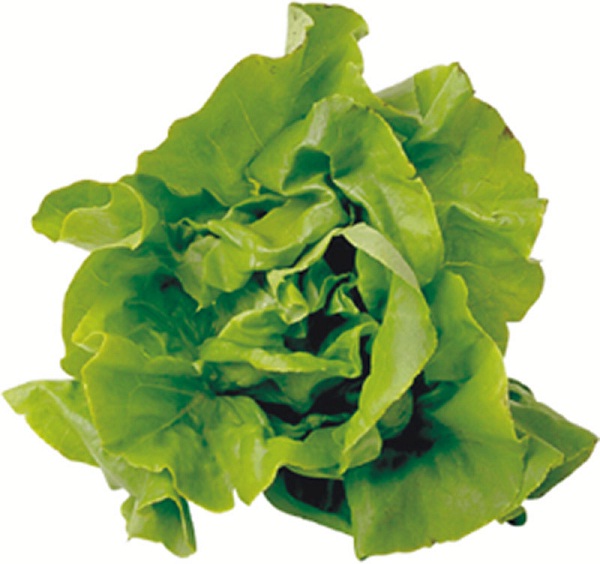 Lettuce-Worst Superstitions Around The World