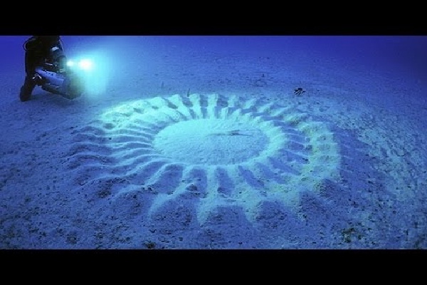 Underwater crop circles-Most Fascinating Natural Phenomena