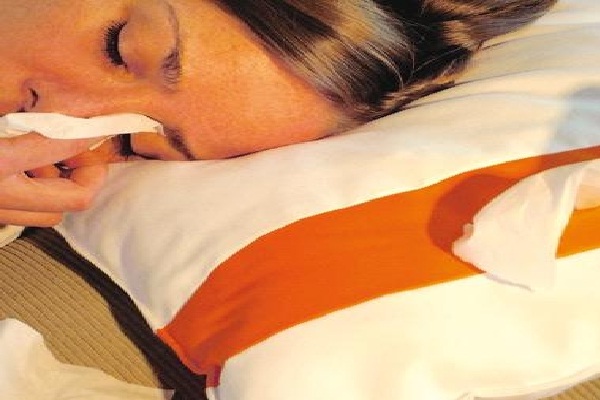 Tissue pillow-Amazing Bed Pillows