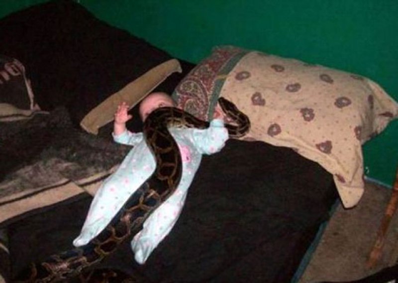Letting an Anaconda Play with a Baby?-15 Images That Show Parenting Isn't Meant For Everyone