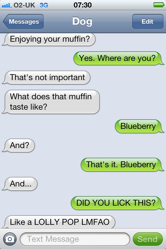When the Muffin Tastes Unusually Good-15 Hilarious Dog Texts