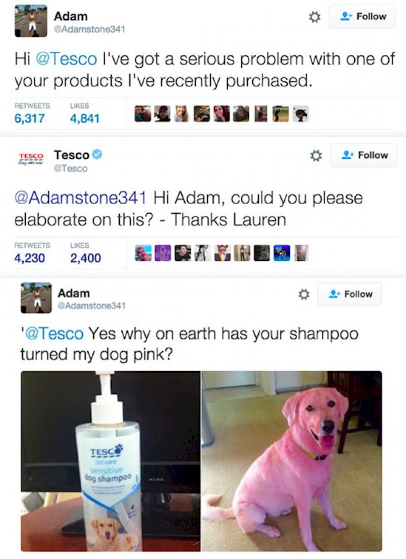Did the Shampoo Really Turned the Dog Pink?-11 Times Customers Perfectly Trolled Brands On The Internet