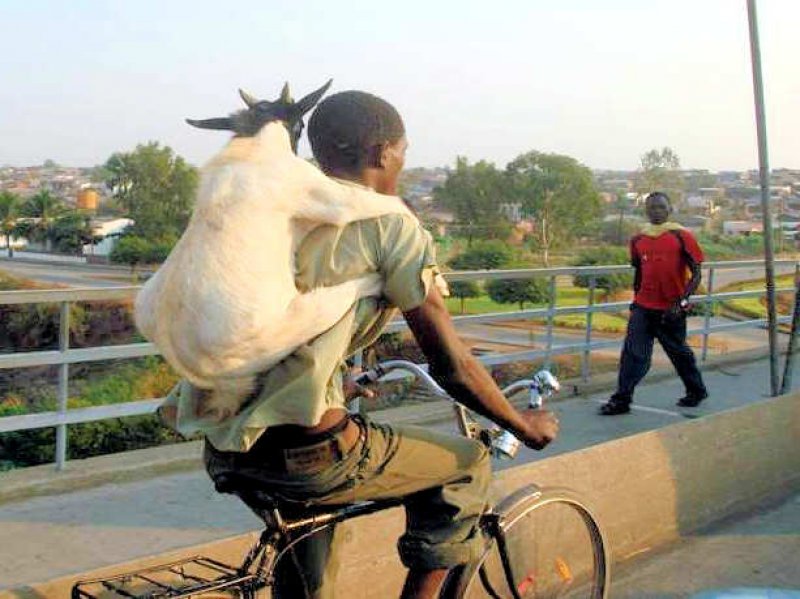 All He Has a Bike and Goat-15 Images That Prove Life's Not Fair With Everyone