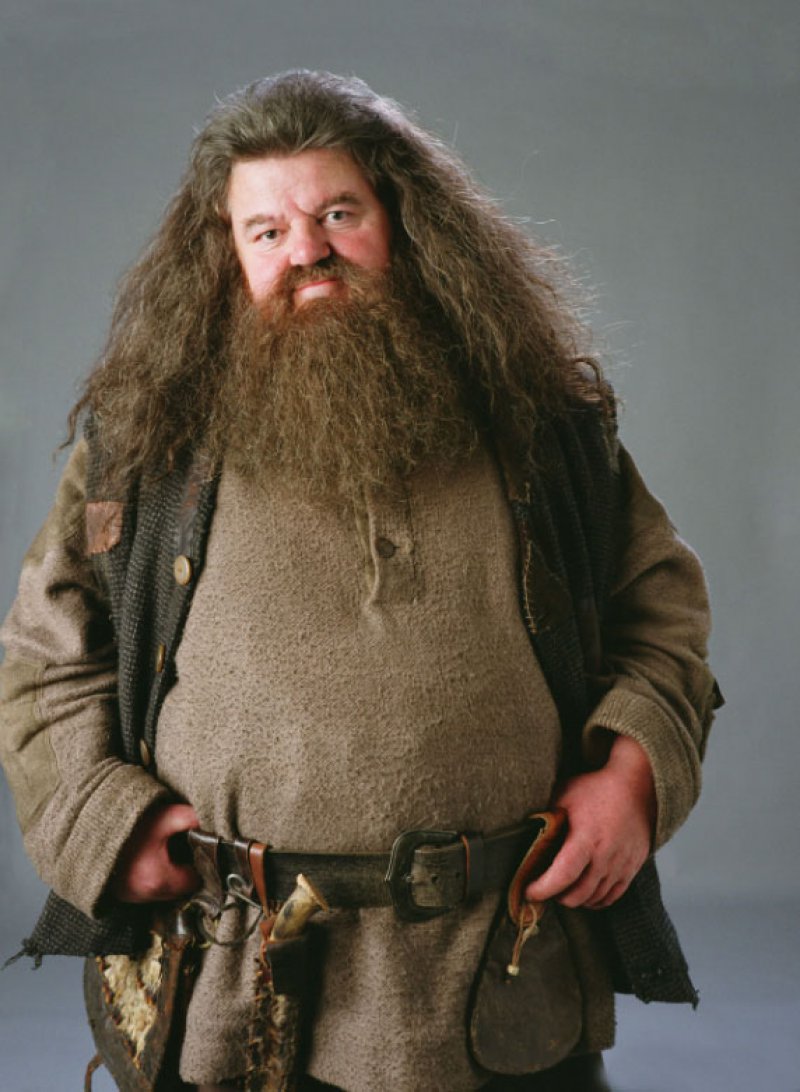 Hagrid's Beard Trap-15 Things You Probably Don't Know About Harry Potter Movies