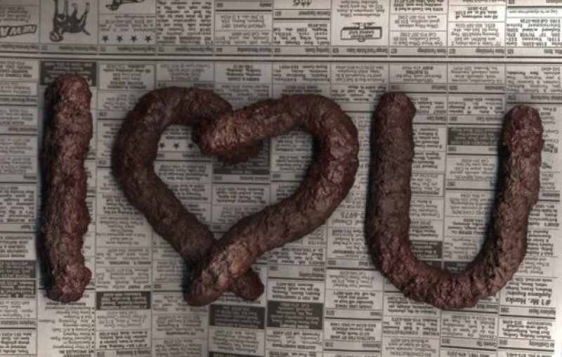 Fake Dog Poo-15 Disgusting Valentine's Day Gifts Ever