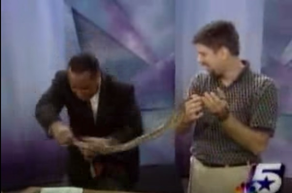 Let's Show Some Reptiles to Our Viewers-15 Funniest News Bloopers Ever
