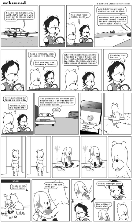 Achewood - Chris Onstad-12 Funniest Webcomics On The Internet