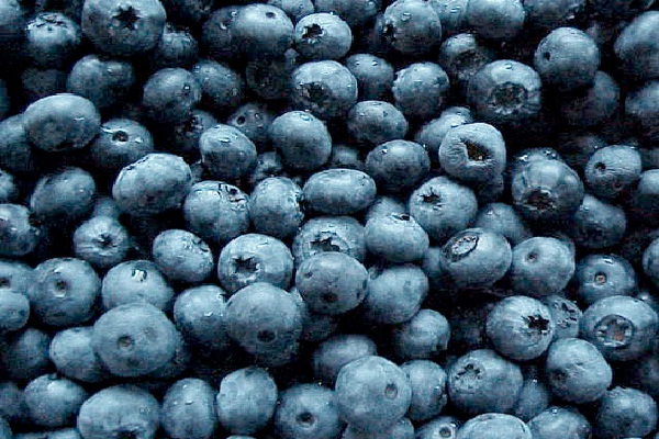 Blueberries-Best Antioxidant Foods