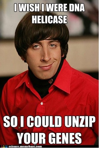 Unzipping is important-12 Nerdy Pickup Lines From Howard Wolowitz Memes