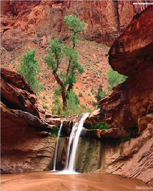 Desert waterfall-Amazing Water Falls!
