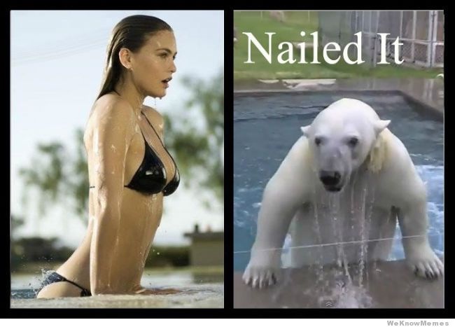 The polar bear wins-Best Nailed It Memes