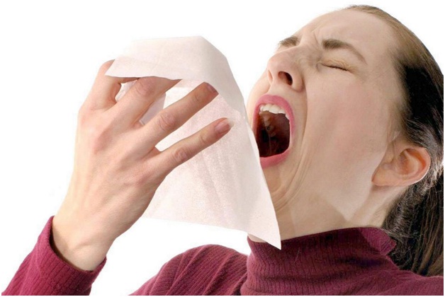 Longest Sneezing Spree -978-Unknown Sneeze Facts