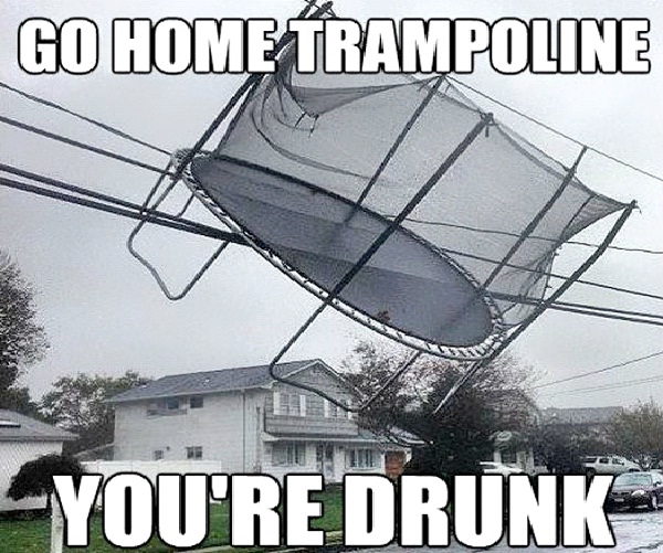 Trampoline-Best Go Home, You're Drunk Memes