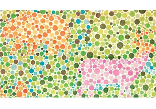 Who Will Eat Whom?-Best Colorblindness Tests You Must Try