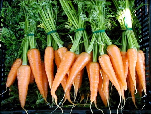 Carrots-Skin Clearing Foods To Eat