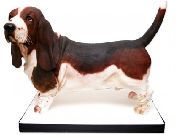 Hound Dog Cake-Most Amazing Dog-Shaped Cakes