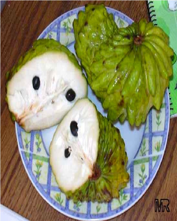 Custard Apple-Weirdest Fruits