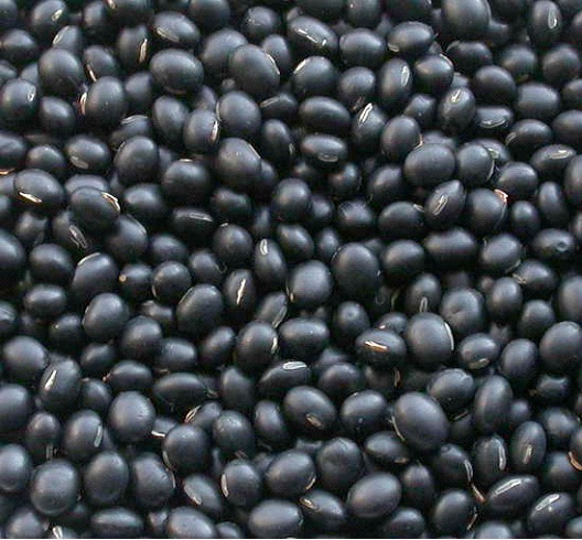 Black Beans-Best High Fiber Foods