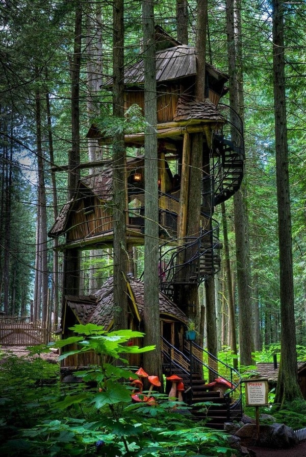 3 storey high-15 Amazing Tree Houses Ever