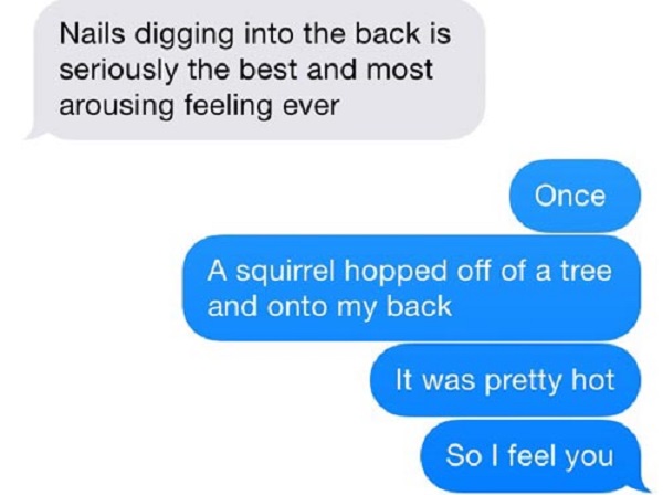 This Funny Squirrel Attack-15 Times Sexting Went Wrong
