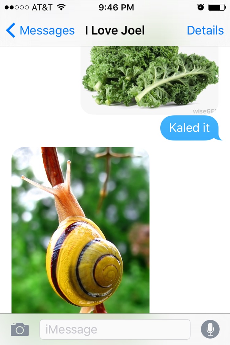 Snailed it-15 Hilarious Images Of A Couple's Pun Texting