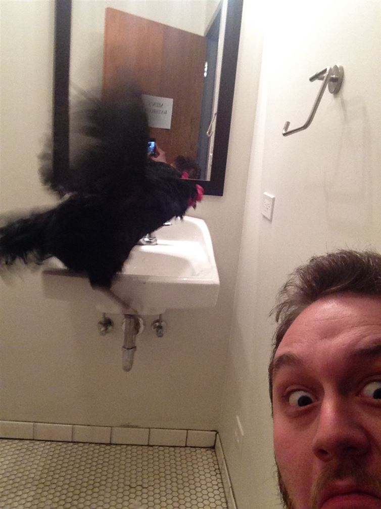 Black Cock Spotted at a Public Bathroom-15 Strangest Moments Ever Caught In Restrooms