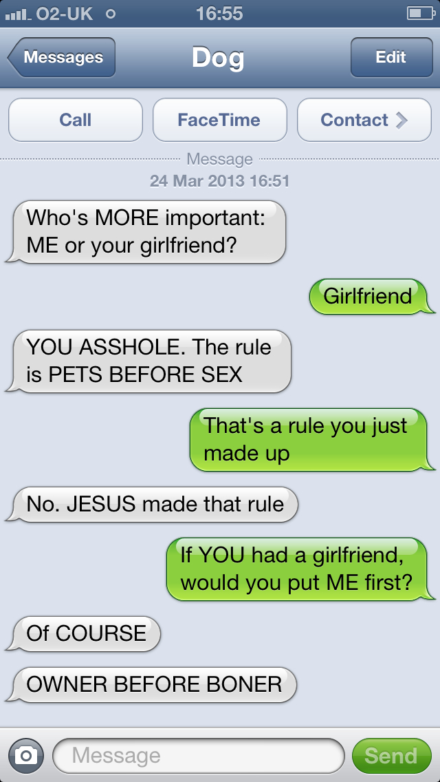 Owner before Boner, the Greatest Dog Quote Ever-15 Hilarious Dog Texts