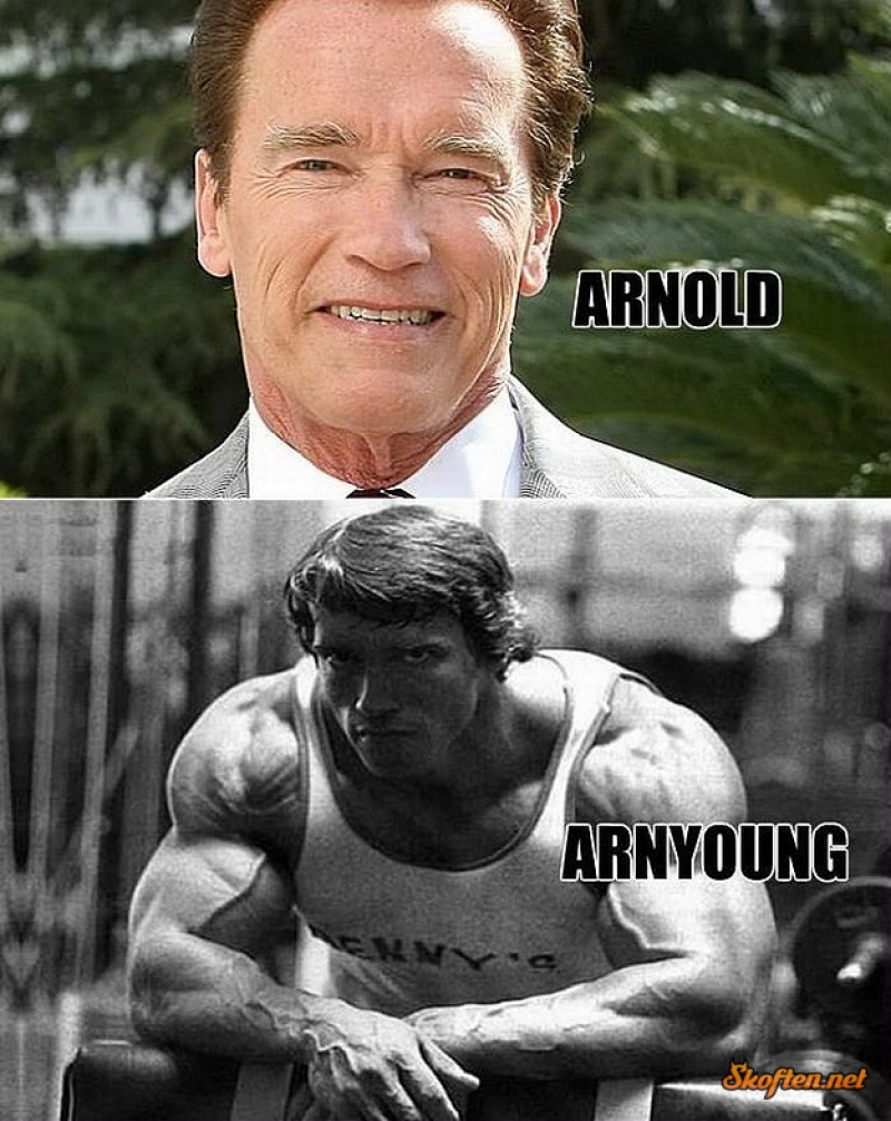 Arnold Schwarzenegger-15 Celebrity Name Puns That Are Hilarious