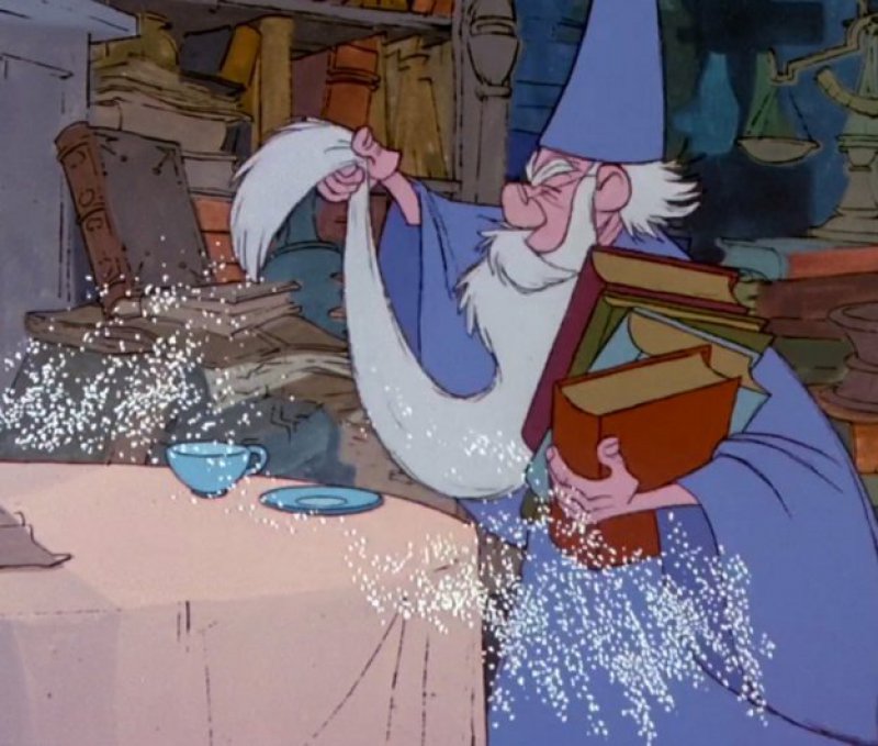 The Little Known Use of Full Beard-15 Secret Life Hacks Disney Movies Taught Us