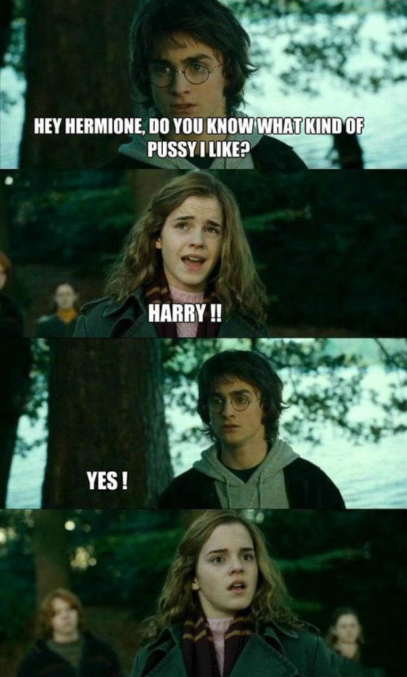Harry's Preference-15 Hilarious Harry Potter Memes Ever